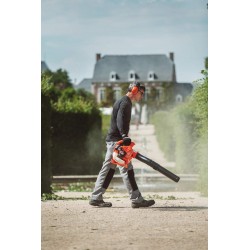 PB2520 Souffleur à main ECHO