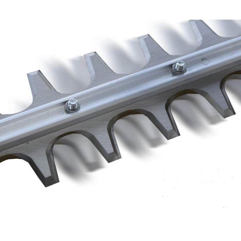 HCA 2620 ESHD Taille-haie sur perche long ECHO