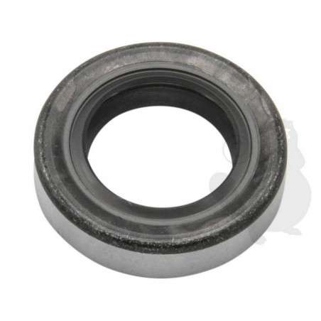 EC10021219830 Oil seal 