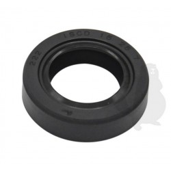 EC10021300310 Oil seal 