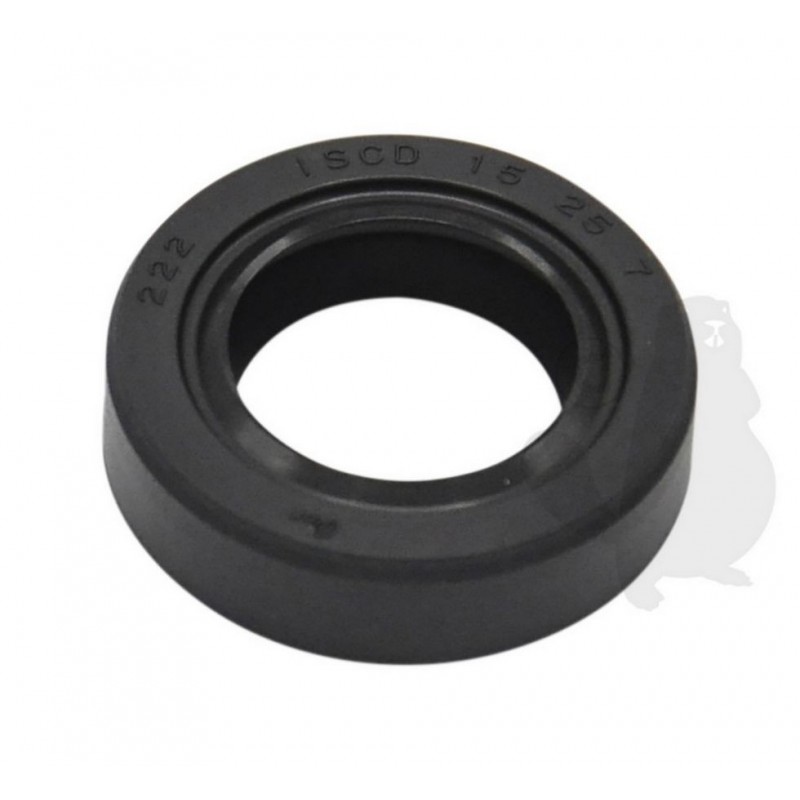 EC10021300310 Oil seal 
