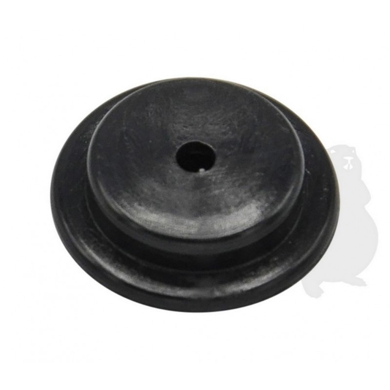 EC10091815130 Cap 
