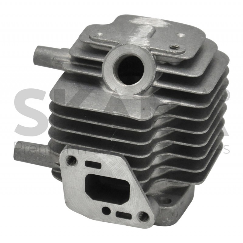 EC10101109560 Cylinder 
