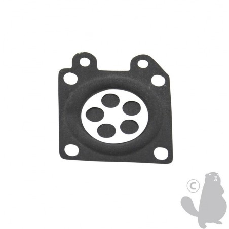 EC12314103930 Diaphragm, metering 