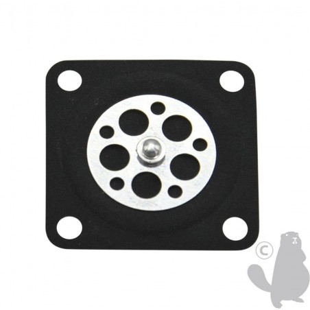 EC12434149930 Diaphragm 