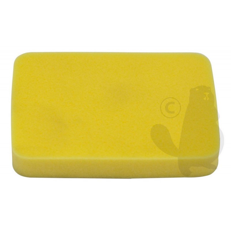 EC13031002910 Filter, air 