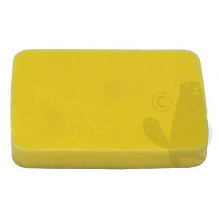 EC13031002910 Filter, air 