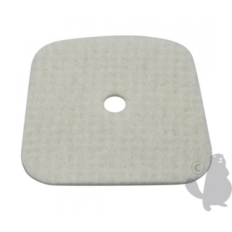 EC13031004560 Filter, air 