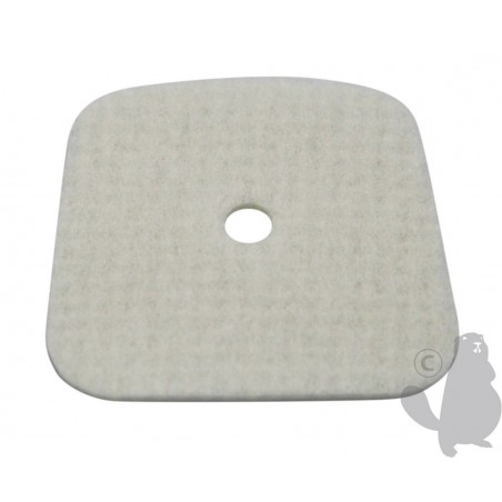 EC13031004560 Filter, air 
