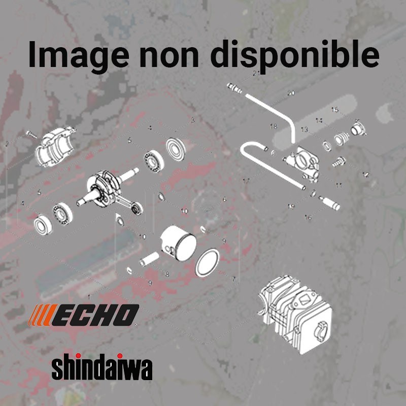 Aucune image disponible