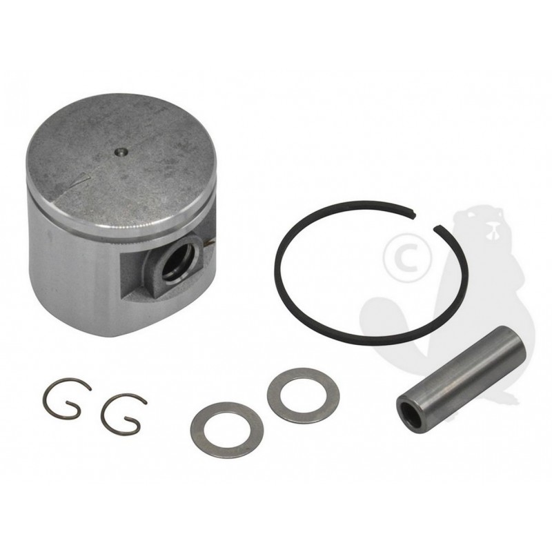 10000052130 Piston kit 