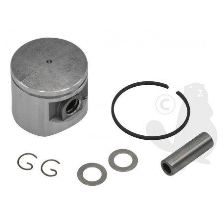 10000052130 Piston kit 